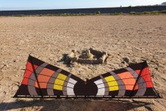 20200906_0946566210802253517408558