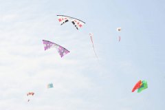 37007530_1988939651150061_1684374225168629760_o7551827091456160921