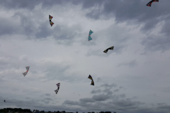 Capture-decran-du-2021-07-12-15-57-21