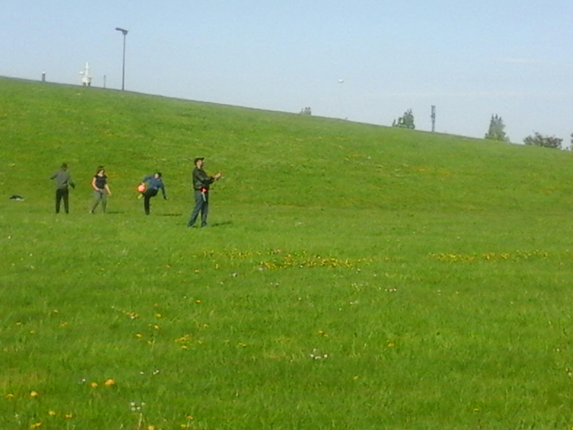 wp-1462125401120 image